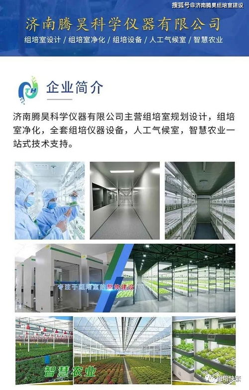 组培室流水线与不锈钢组培架 现代植物工厂的核心技术与应用推广