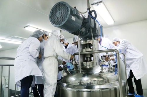 国际技术专家齐聚尔康，共商淀粉胶囊技术应用与推广新蓝图